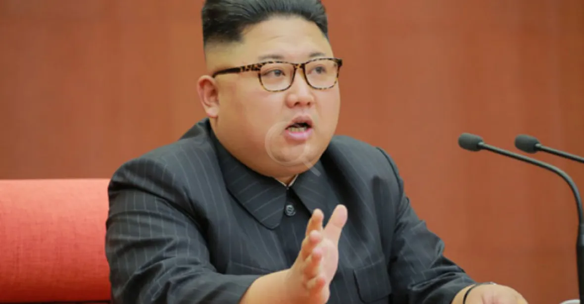 Přijede Kim do Moskvy? Severokorejský vůdce potvrdil ochotu navštívit Rusko