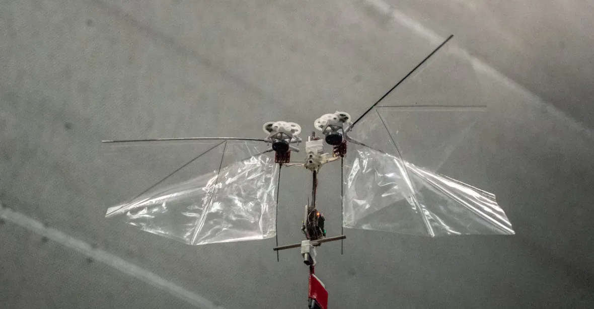 VIDEO: Český vědec sestrojil létajícího hmyzího robota. Může pomoci i vývoji dronů