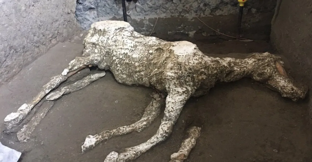 Nový objev v Pompejích. Vědci našli dokonale zachovalé ostatky koně