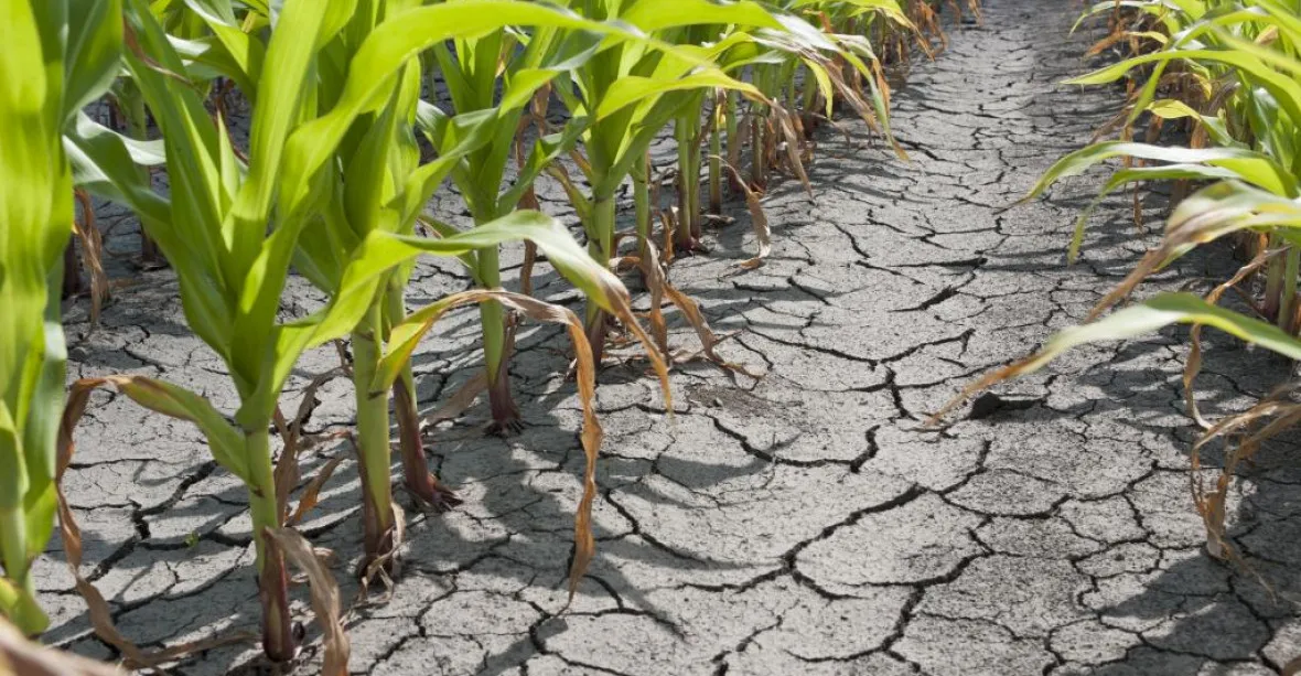 Sucho trápilo zemědělce od jara do podzimu. Teplotní rekordy padaly po celý rok