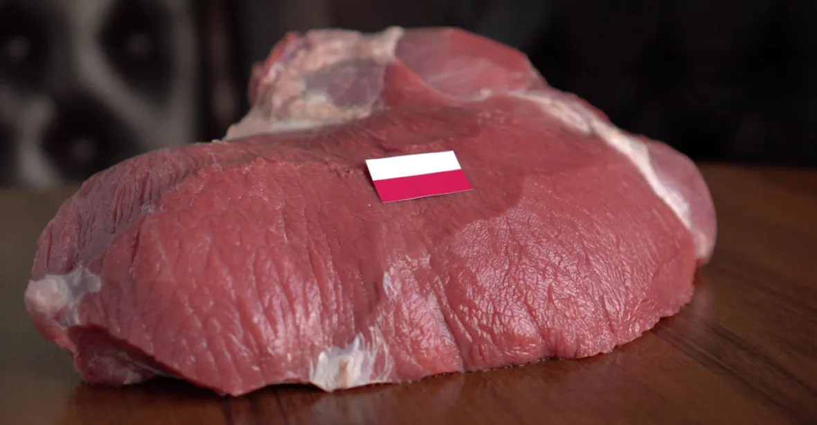 Všechno hovězí maso z Polska může do Česka jen přes veterináře