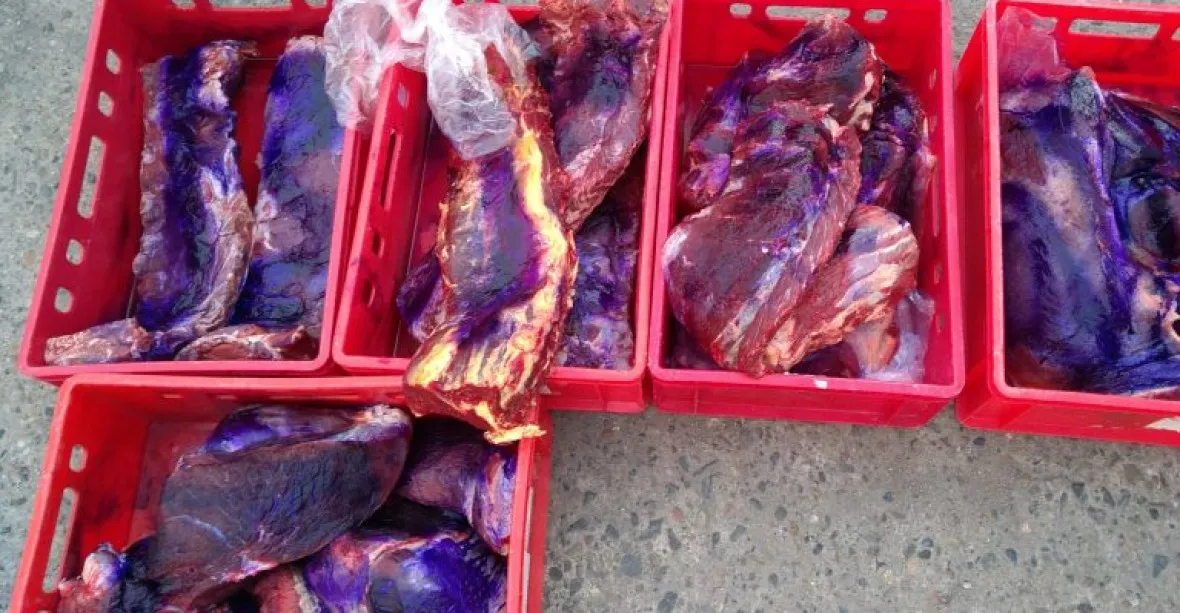 Veterináři odhalili v Praze nelegální bourárnu masa. V ní 1200 kilo hovězího bez dokladů