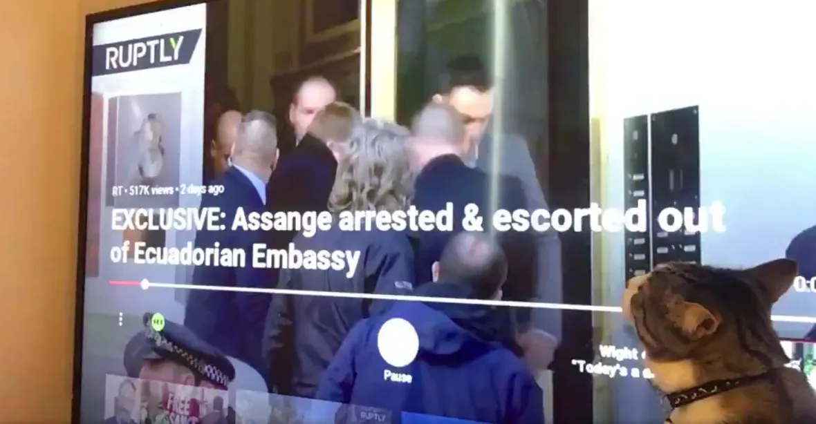 Páníček Assange vypadal zdevastovaně, jeho kočka je ale fit a v bezpečí, ujistila WikiLeaks