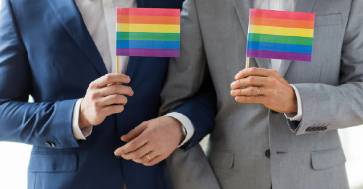 Homosexuální manželství na postupu. Pro je Šabatová, legální je i už i v Mexiku a na Tchaj-wanu