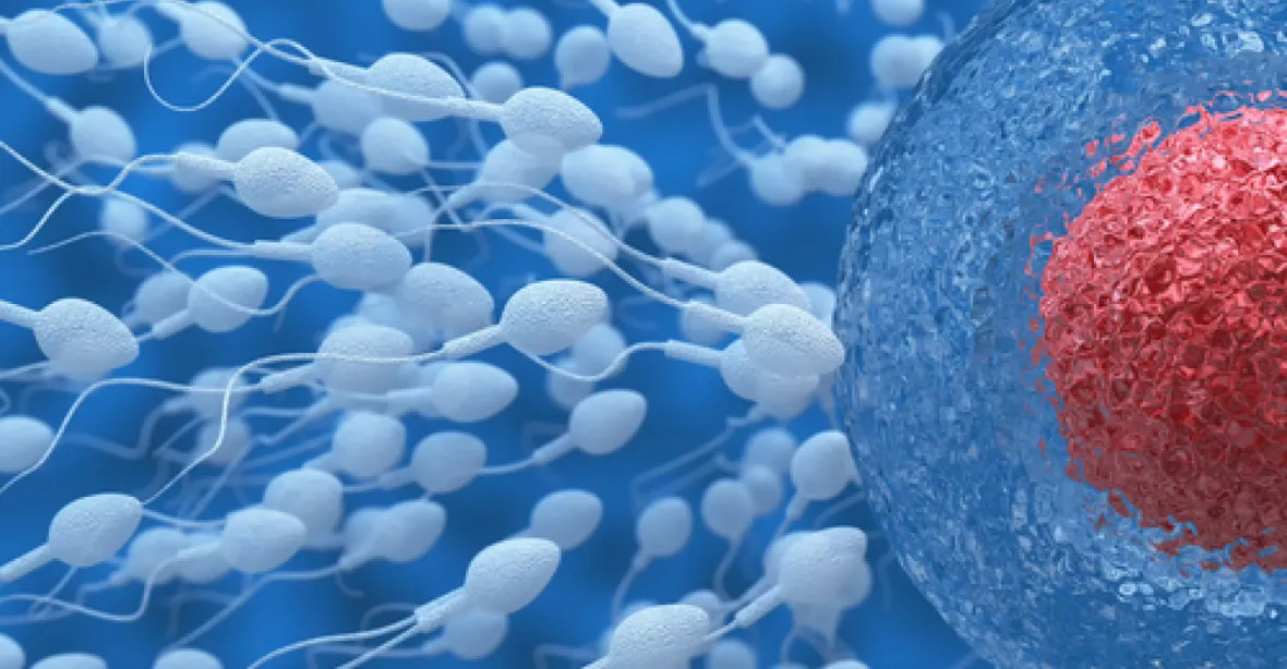 Největší světová spermobanka chce zastavit úbytek evropské populace