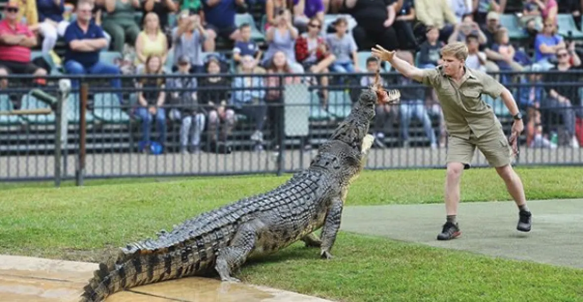 VIDEO: Zemřel po bodnutí trnuchy, lovec krokodýlů už má nástupce