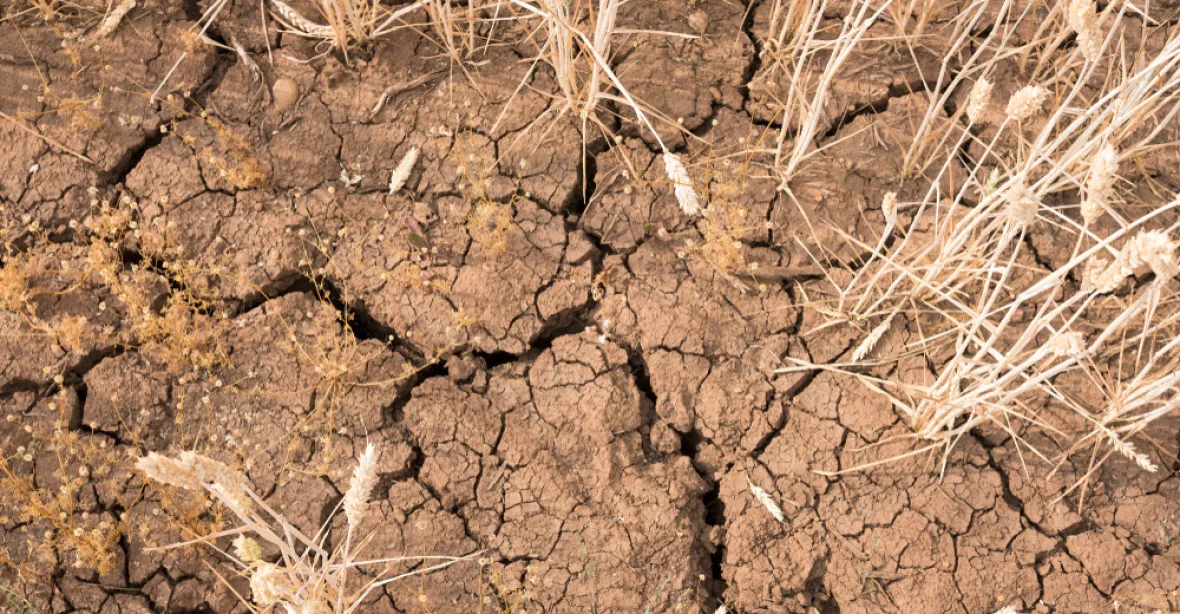 Česko vysychá. Extrémní sucho se má rozšířit na 60 procent území