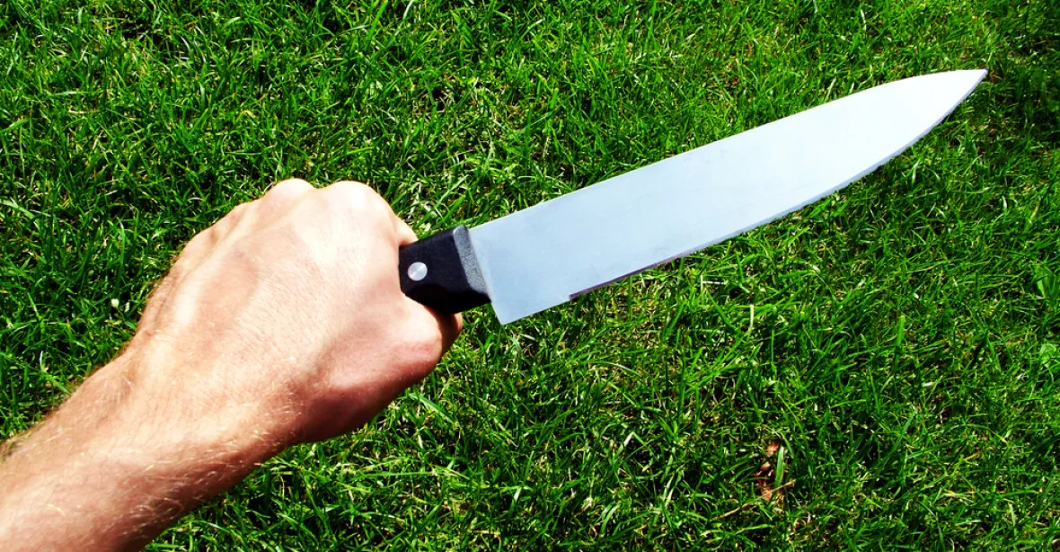 Zakažte prodej špičatých kuchyňských nožů, žádá petice vládu kvůli častým útokům