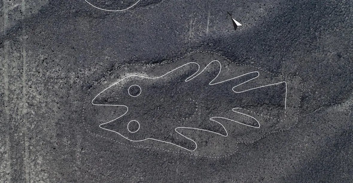 Ryba, kočka nebo lama. Vědci objevili na 140 nových obrazců na planině Nazca