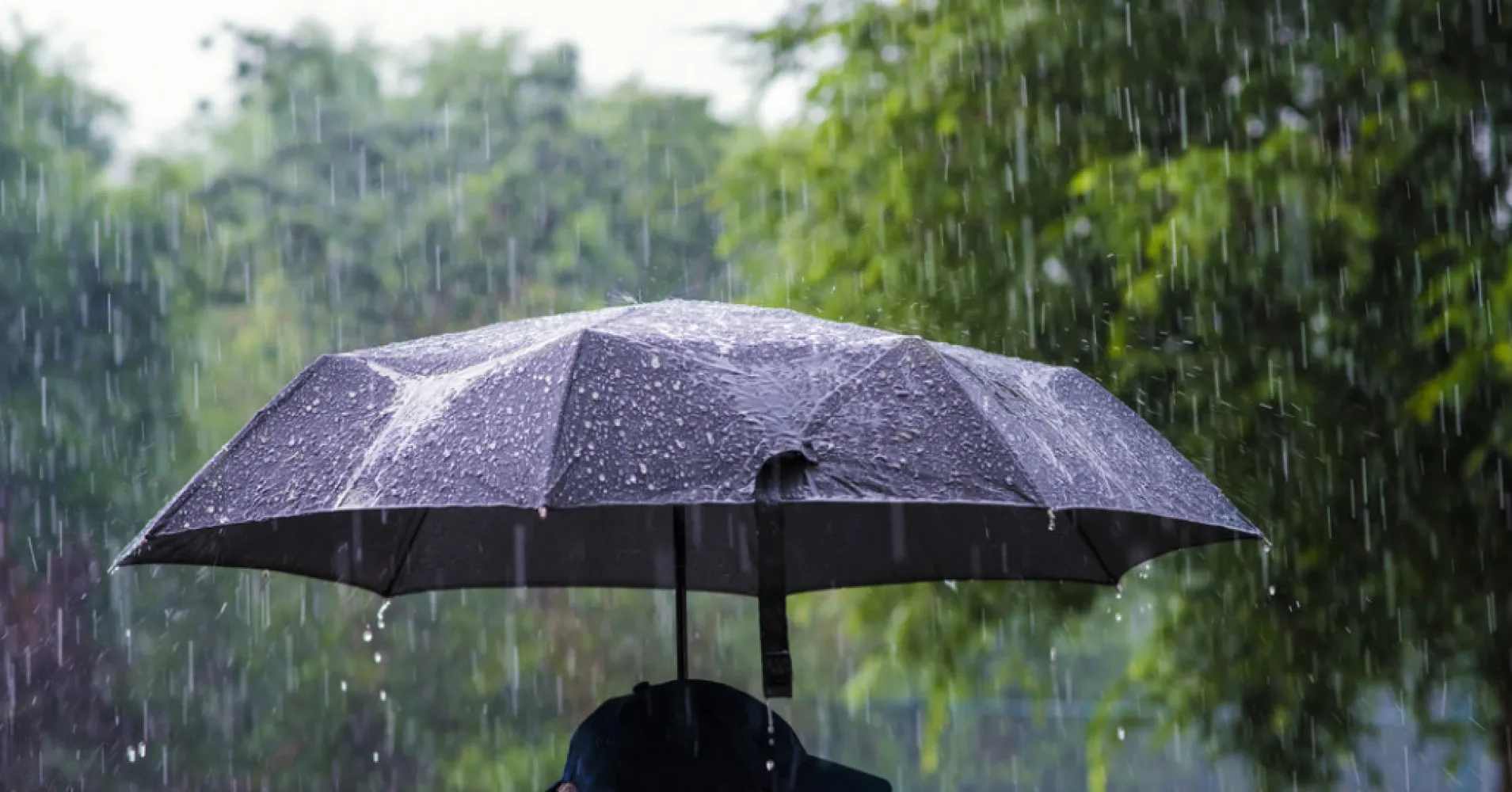 Работает во время дождя. Зонтик. Зонт под дождем. Дождь зонт. Мокрый зонт.