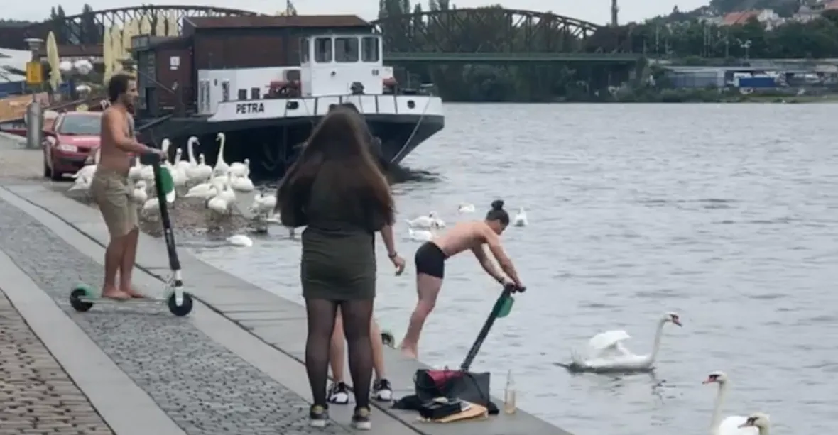 VIDEO: Mladíci skočili v Praze na koloběžkách mezi labutě