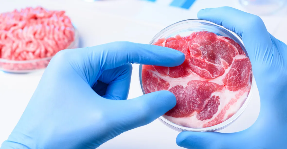 Uměle vyrobené maso z bioreaktoru se začne prodávat