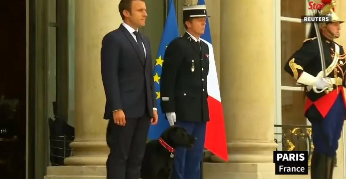 Macron propaguje adopci mazlíčků videem se svým psem