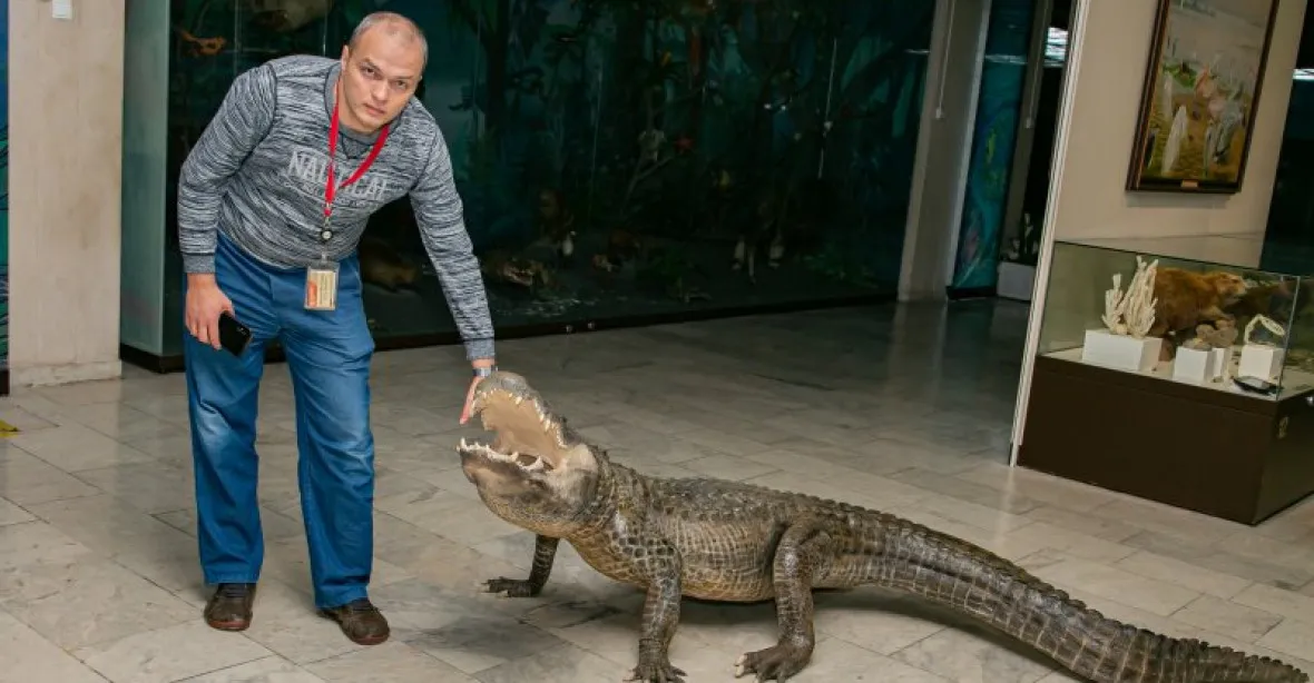 Slavného „Hitlerova“ aligátora vystavili po smrti v moskevském muzeu