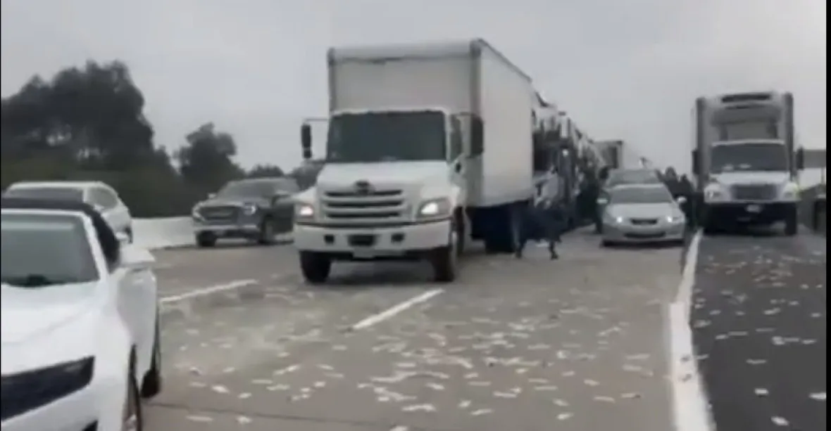 VIDEO: Na dálnici se vysypaly stovky bankovek. Šťastní řidiči je začali sbírat