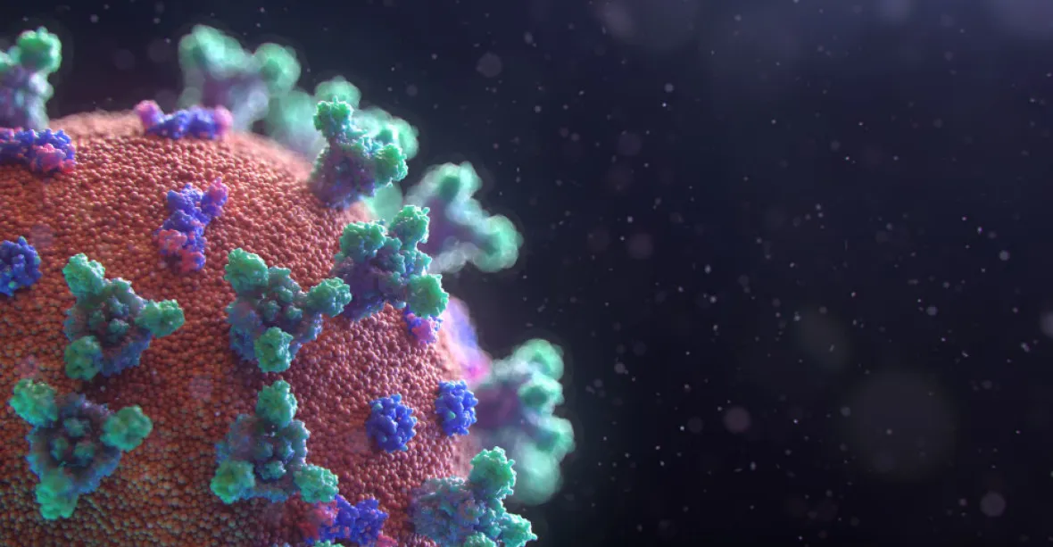 WHO zařadila novou variantu koronaviru omikron oficiálně mezi znepokojivé