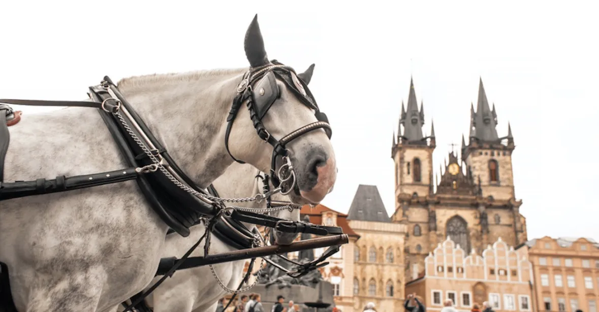 Piráti vyhánějí koně z centra Prahy. Zvířata prý trpí, vadí jim smog a tvrdé povrchy