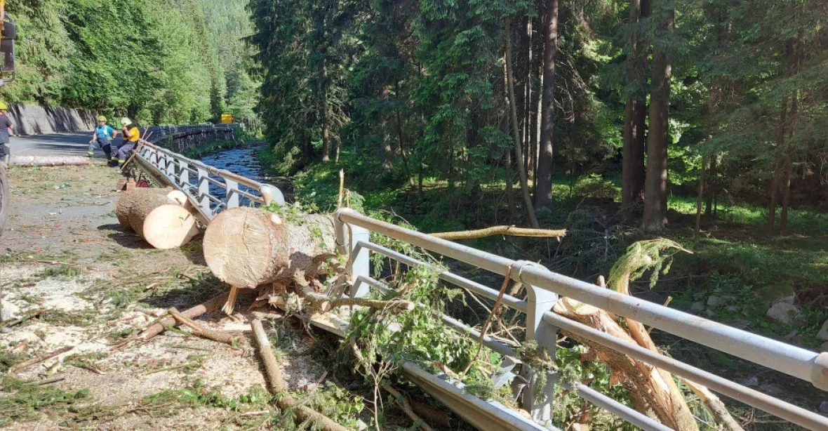 V Krkonoších spadl na vozovku další strom. Řidička auta zemřela