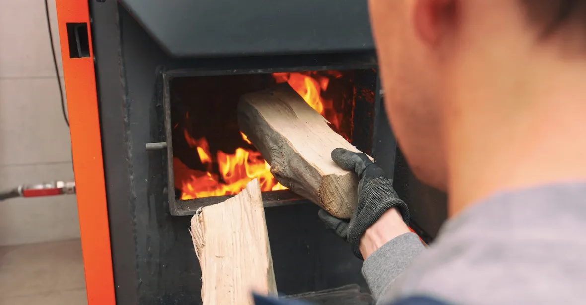 Kdo může, bere si na topení levné dřevo přímo z lesa