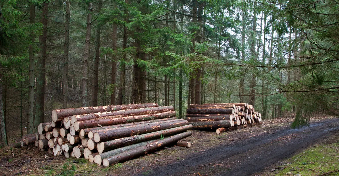 Vítězem miliardového lesnického tendru Lesů ČR je Uniles z koncernu Agrofert