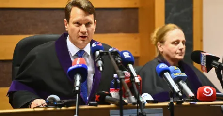 Le juge persuasif de Šott a attiré l'attention sur les irrégularités des subventions