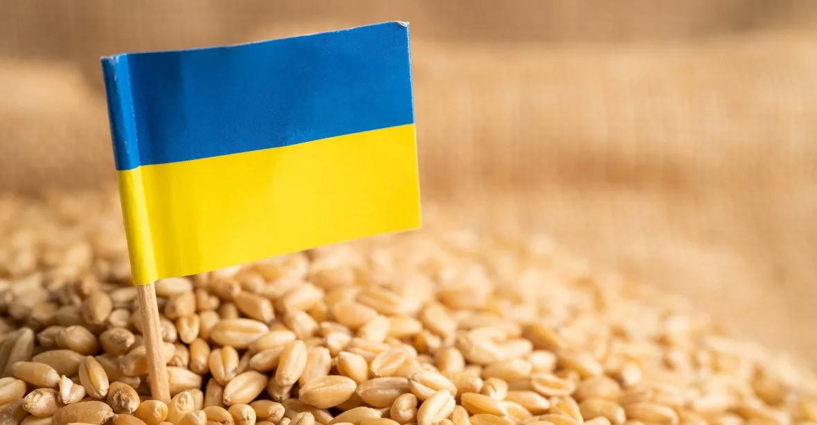 EU chystá kompenzace pro zemědělce kvůli ukrajinskému obilí