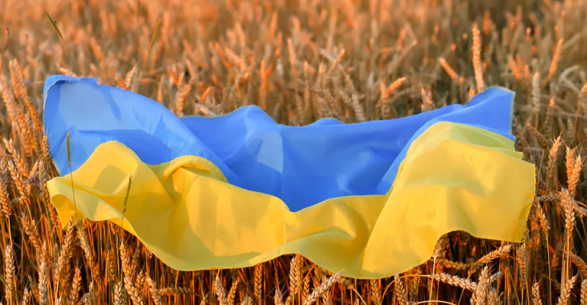 Evropa řeší ukrajinské obilí. Může být rizikové, ale automaticky nebezpečné není, říká děkan ČZU