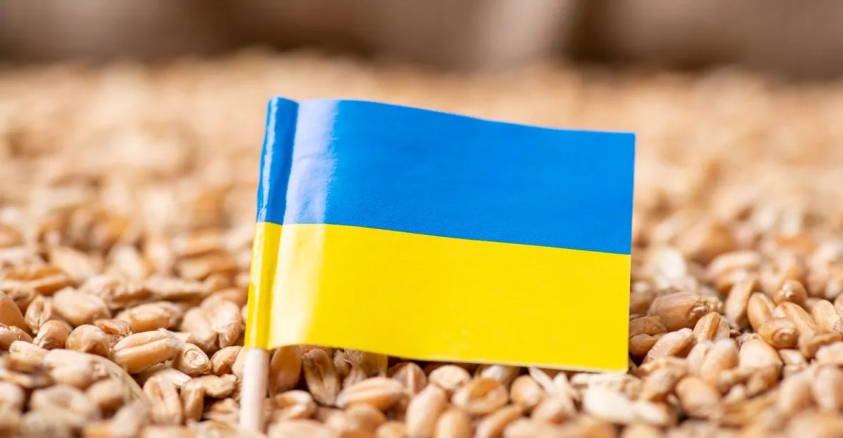 Polsko-ukrajinská roztržka kvůli obilí: Kyjev posílá nótu, jakékoli omezení dovozu je nepřijatelné
