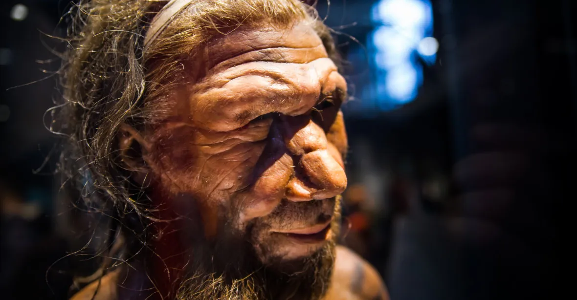 Odkud se vzaly velké nosy? Od neandertálců