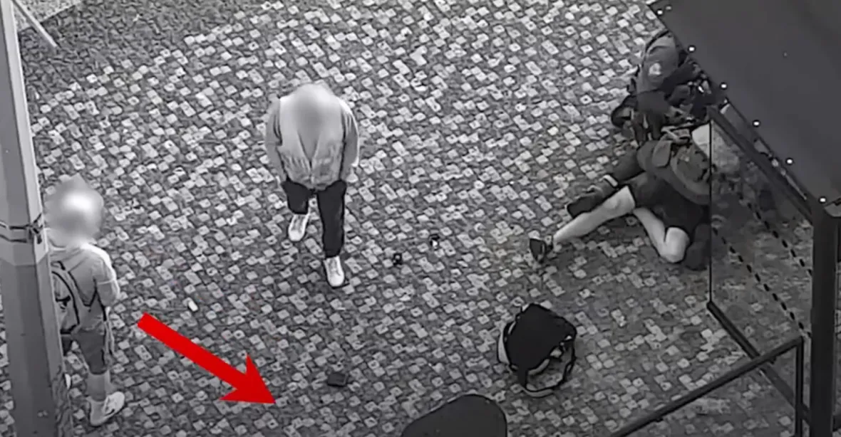 VIDEO: Policisté zaklekli agresora na Hradčanské. Současně mu muž kradl peněženku