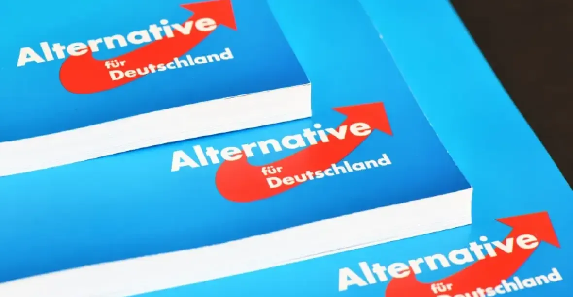 Průzkum: Němečtí Zelení padají na 13 procent, AfD se drží jako druhá nejsilnější strana