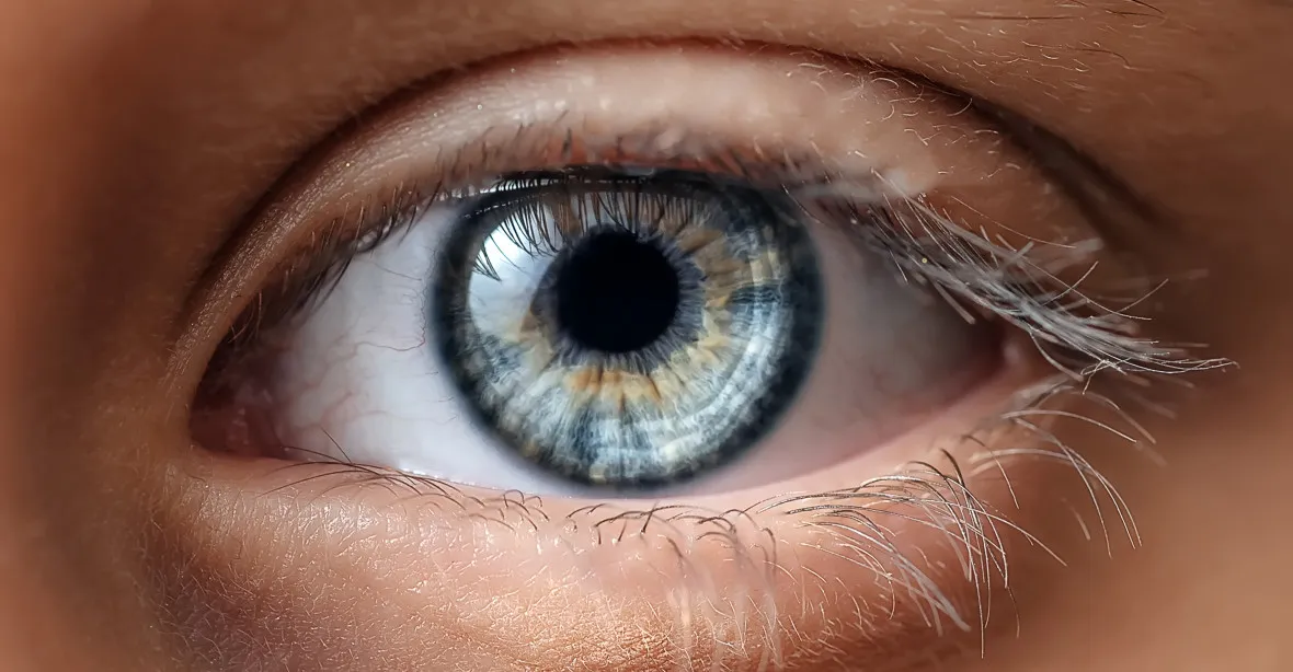 Lékaři poprvé transplantovali oční bulvu. Je životaschopná