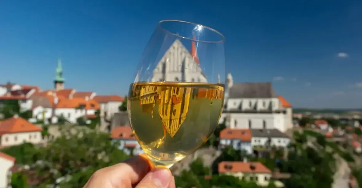 Vinaři z Česka už píšou i do Bruselu. Chtějí diskuzi o tichém vínu i daních